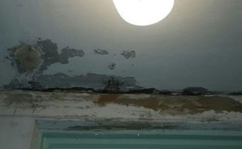 ������� ��������� ����������� 1-� ����������� ������������ � ������
