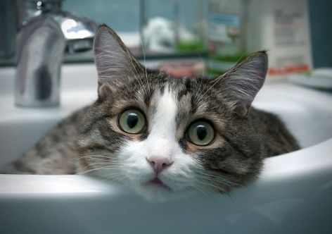 � ����������� �� ���� ��������� ������ ���� [��� � �����]