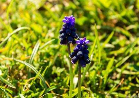 � ����������� ����� ��������� ����������� ���� [������� ������]