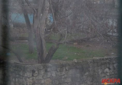 � ������ ����������� �������� �������������� ������������ ������