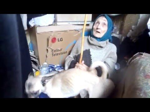 � ������������ ��������: ������� ��������, ������� ���� � ������ �����