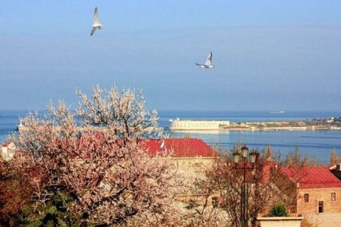 � ����������� ������ �����