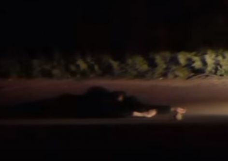 � ����������� �������� ������������ �������� ���� ����� � ������� [�����]