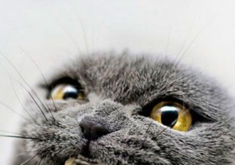 � �������� ���� ����� ����������� �������� ��-�� �������� ����