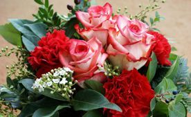 ����� �� �������: ������������� ����������� �� ������� ���� �������� ���� ������