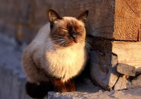 � ����� �� ����� ������ �������� ����� ���������
