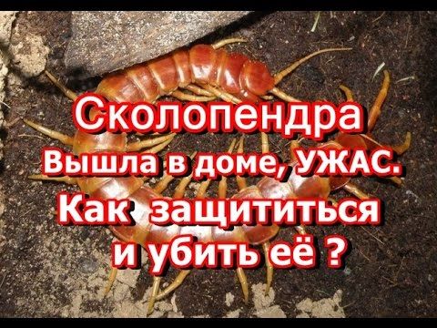 �������������, ���������! � ����� ��������� ����� ������� �������� ����������