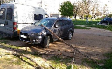 ������� ������ �����: ����� ����� ������� ������ ����������