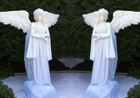 � ���� ���� 50 ����� ������