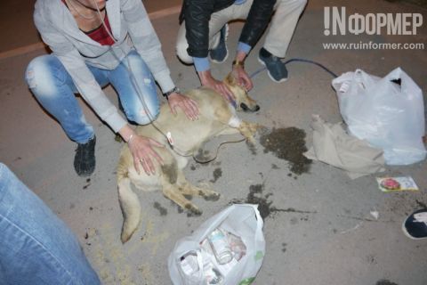 � ���� ������ ����������� ������ �������� ������ (���� 18+)