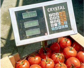 � ����������� ��� ���������� ������� �������� ���������� �������� ��������