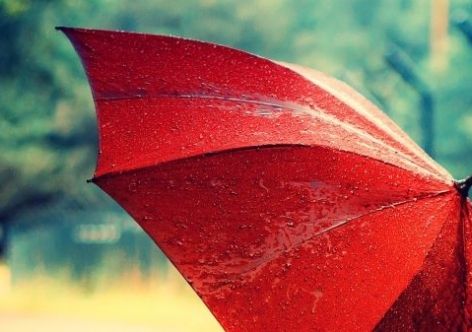 � ����� ���� ��������� - ����� ��������� ����� � ����� [������� ������ �� ��������]