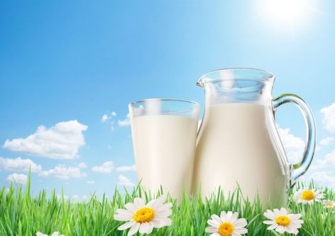 � ����� - �������� �������