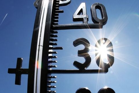�� �������� ���� ������� 40-��������� ����