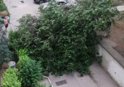 � ��������������� ����� �� �������������� ���������� ������� ������