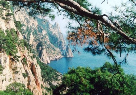 � ����������� �� ����� ������� ������� ���� [������ ��������� �������]