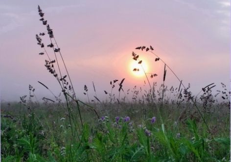 � ����� ���� "�����": +29, �� �������� � ������� �������� [������� ������]