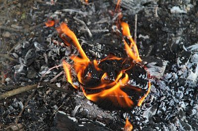 � ����������� ����������� ���������� ����� ���������������