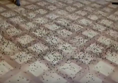 � ����� � ������������ �������� ��������� ������ [�����]