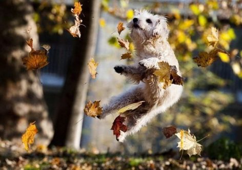 �������, ������ �����, ��������� � "�����������" ���: ���� ������� � ��� �������� � ����� [�����]