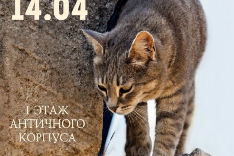 � ��������� ��������� �������� ��� ������ ����� ������ ����