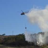 ��������������� ��������� ������� ��������� ����������� ���������� � ������ � ���������� ���� ������