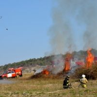 � ����������� ����������� ���������� ����������� ���������� �� ���������� ������� ������
