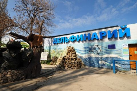 ����� ��������, ����� ��������� ��������������� �����������