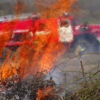 � 1 ������ � ����������� ������� ������ �������������� ������ 2017 ����