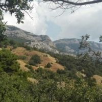 ��������� �� �������� � ���, ���������� ���� ������������