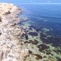������� ������� �� ����: ���������� ��� ������ ��������� �� ������������� ����� ������� �����