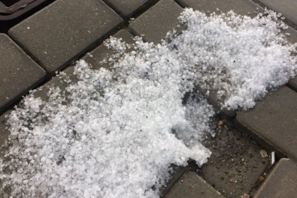 � ����������� ����� ���� �������� � ������