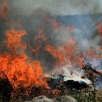 � ����������� ��������� ���������� ����� �������� ���������
