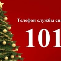 ������� ����� � ���������: ������������ �� ����� ���������� ����������
