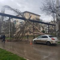 �� ��������� ����� ���������� �������� ���������� ��� ������ �� ������ ����������� ���� ��� ������������ ��� ���������� ����������� ��������