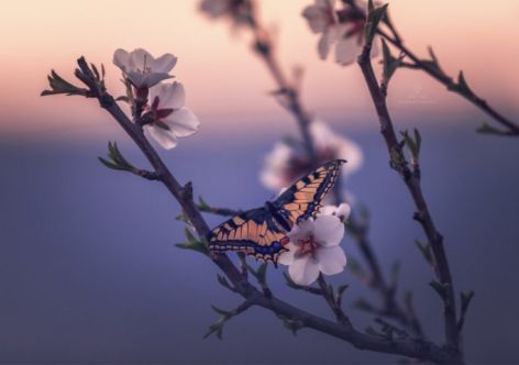 ��������� ����: � ����� ��������� �� +22 [������� ������ �� ��������]