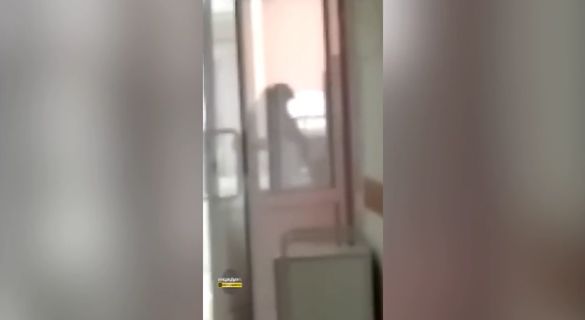 ������������ ������� �������� �� �����