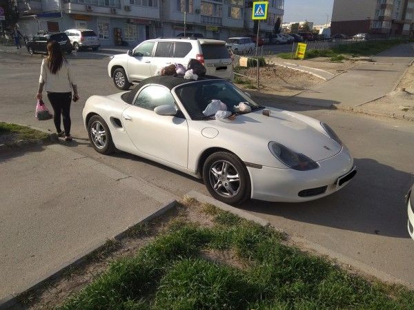 ������������� �������� �������� Porcshe