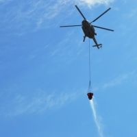 � ����������� ���������� III ���� ����������������� ��������-�������� ������: ����������� ������������ ��������, ����������� � ���������� ��������� �������