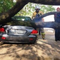 ��������� ��� ����������� ������������� ����������� ����������� � ��������� ������ ��������� ������, ��������� � ���������� ��������� �������� �������