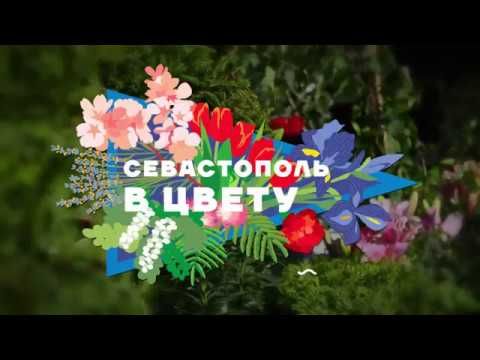 ���� ������������ ������� �������� �� �������������� �������� ������� �������� ����-��������