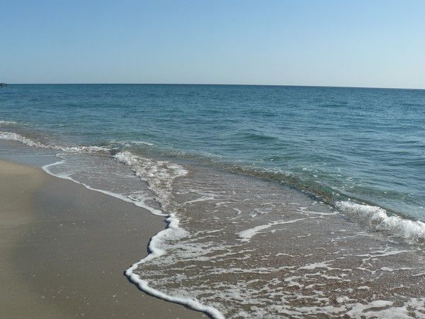� ������ �������������� ��������� ����� �������� �������