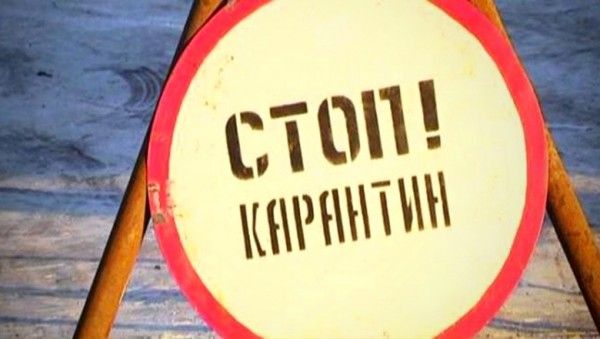 � ����� ������ ��������