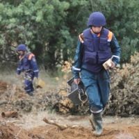 � ����������� ����������� ��� ���� ��������� ������ ������� ������������� �����