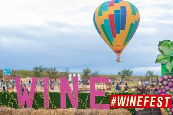 ��������� #WineFest ������ 20 ���. ������ � ����� � ���-5 ������ ������� �����