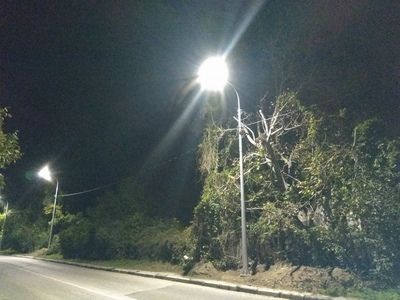 �����������. ������������� ��������� � ������ �����������