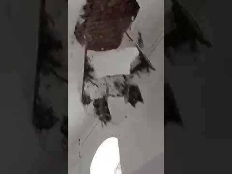 � ��������������� ����� �������� ��������� ������� �� ����� ������������ �������
