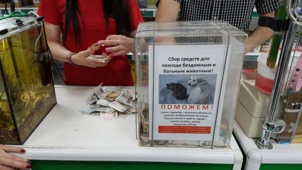 � ����������� ���� �������� ���� � �������� �� ��������� ��������� ��������