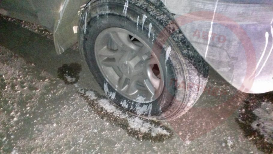 � ����������� ������ �� ������ �������� ��������