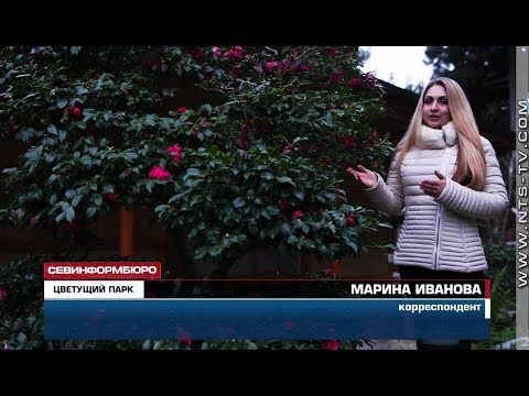 � �������� ����� ������������ � ������� ����� �������, ������ � ������